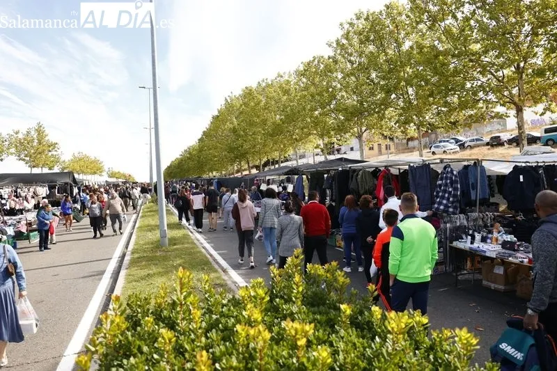 Último domingo del Rastro en Pizarrales
