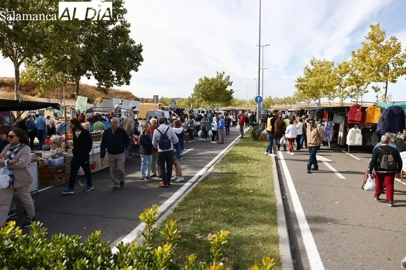 Último domingo del Rastro en Pizarrales