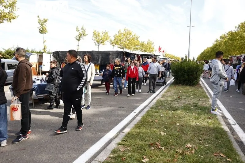 Último domingo del Rastro en Pizarrales