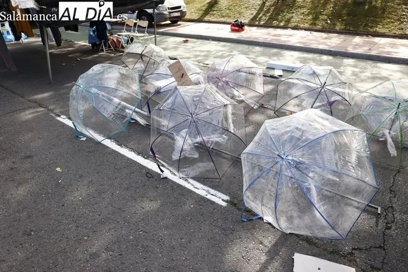 Último domingo del Rastro en Pizarrales