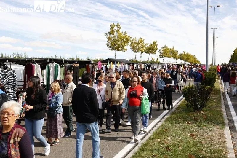Último domingo del Rastro en Pizarrales