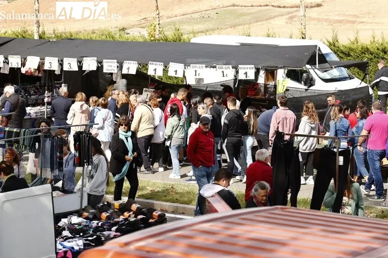 Último domingo del Rastro en Pizarrales