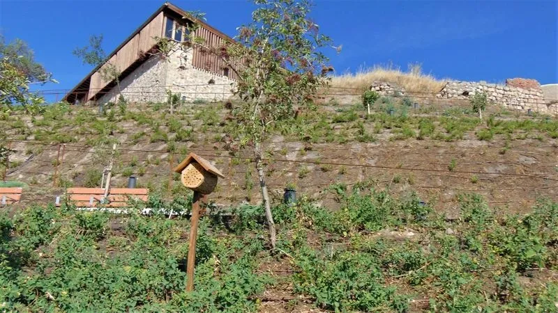 TERCER PREMIO INFANTIL: Hogar para insectos