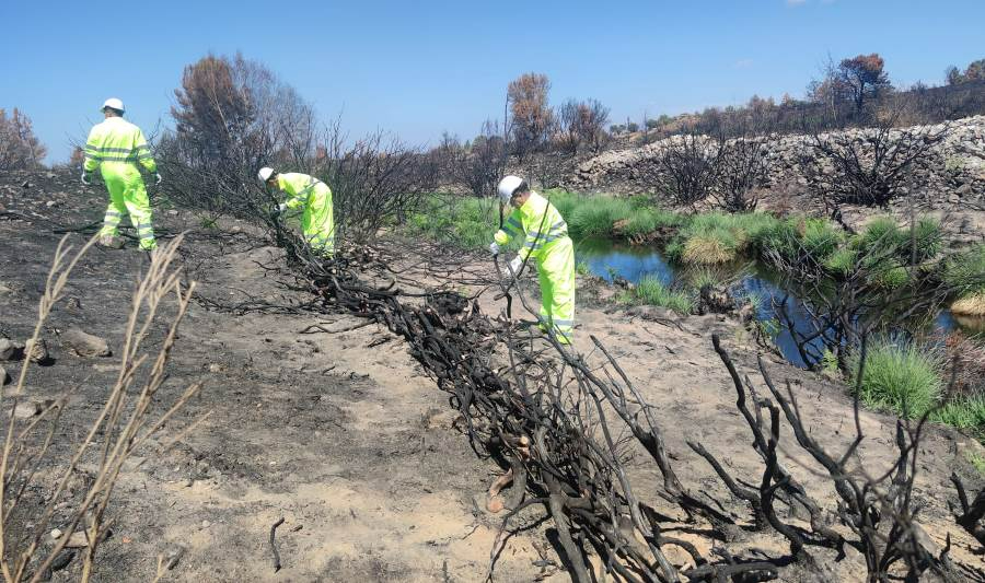 Foto 1 - La CHD acomete labores de restauración en los ríos afectados por el incendio de Monsagro