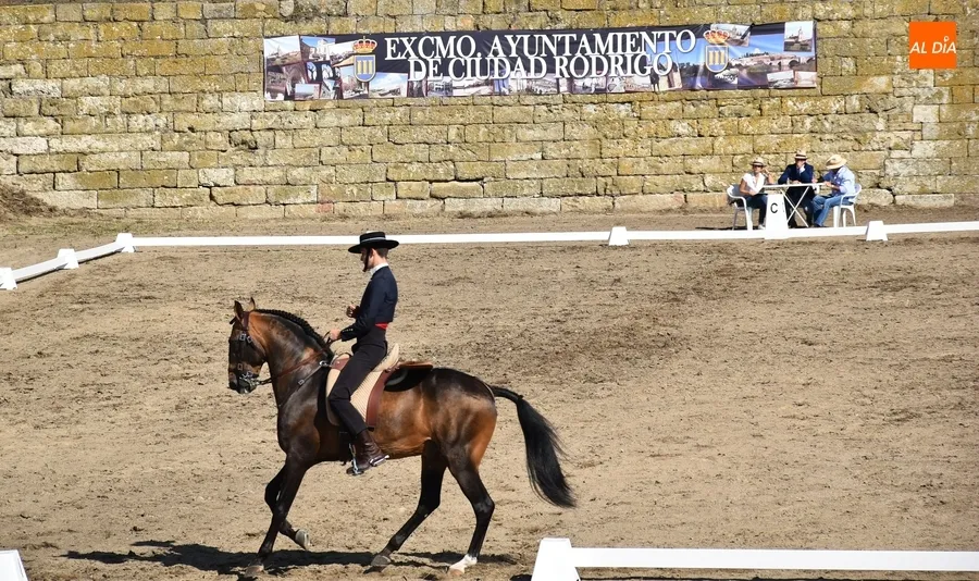 Foto 6 - Notable participaci&oacute;n en las cl&aacute;sicas rutas a caballo de la Feria