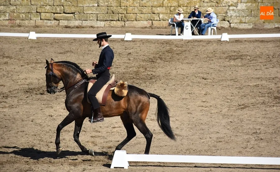 Foto 7 - Notable participaci&oacute;n en las cl&aacute;sicas rutas a caballo de la Feria