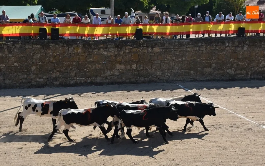 Foto 2 - Espa&ntilde;a gana la prueba m&aacute;s esperada de la Feria del Caballo