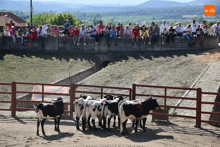 Foto 3 - Espa&ntilde;a gana la prueba m&aacute;s esperada de la Feria del Caballo