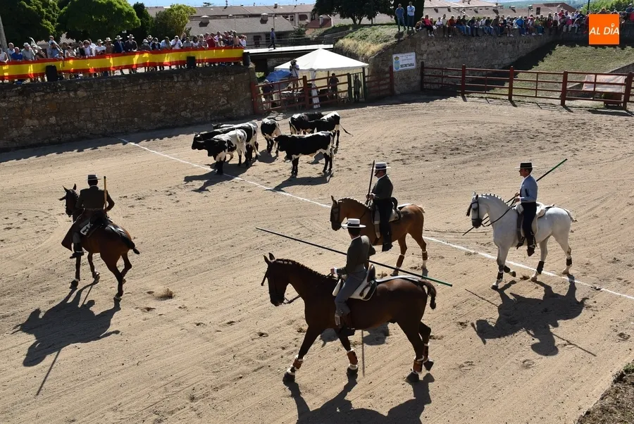 Foto 6 - Espa&ntilde;a gana la prueba m&aacute;s esperada de la Feria del Caballo