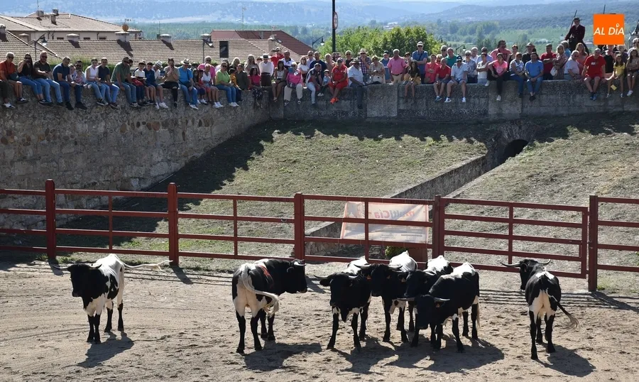 Foto 7 - Espa&ntilde;a gana la prueba m&aacute;s esperada de la Feria del Caballo