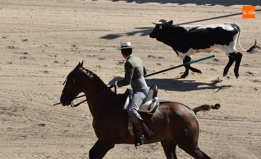 Foto 9 - Espa&ntilde;a gana la prueba m&aacute;s esperada de la Feria del Caballo