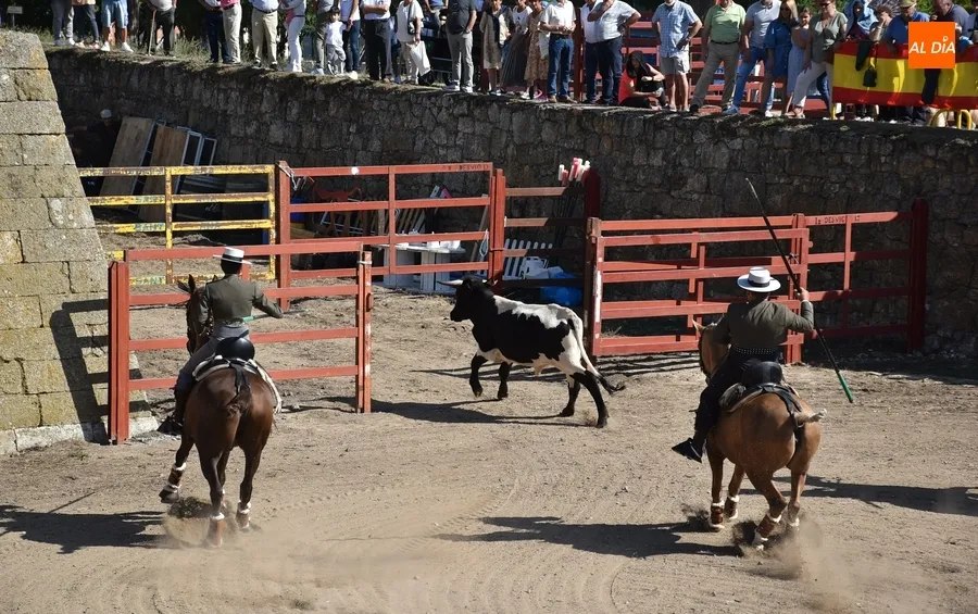 Foto 10 - Espa&ntilde;a gana la prueba m&aacute;s esperada de la Feria del Caballo