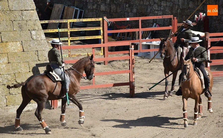Foto 11 - Espa&ntilde;a gana la prueba m&aacute;s esperada de la Feria del Caballo