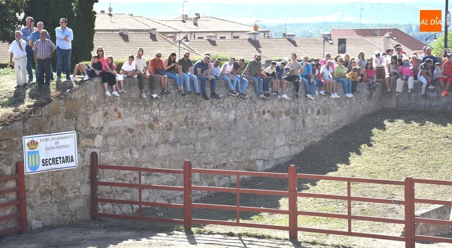Foto 14 - Espa&ntilde;a gana la prueba m&aacute;s esperada de la Feria del Caballo