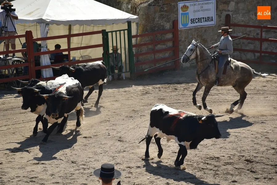Foto 17 - Espa&ntilde;a gana la prueba m&aacute;s esperada de la Feria del Caballo
