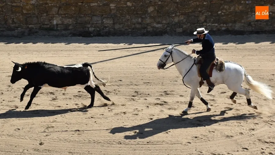 Foto 18 - Espa&ntilde;a gana la prueba m&aacute;s esperada de la Feria del Caballo