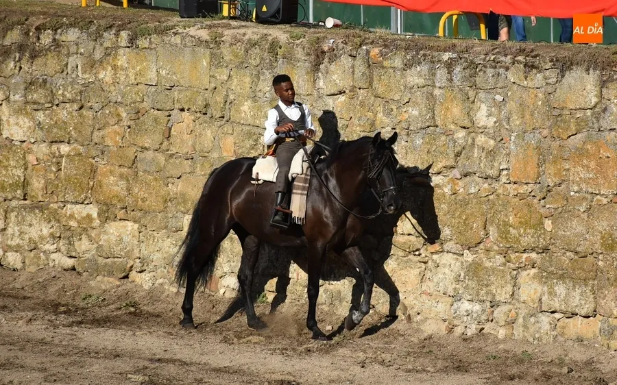 Foto 2 - Akay Flamenco pone el broche a tres intensos d&iacute;as de Feria