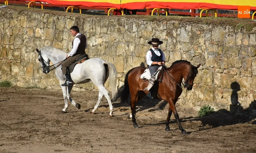 Foto 3 - Akay Flamenco pone el broche a tres intensos d&iacute;as de Feria