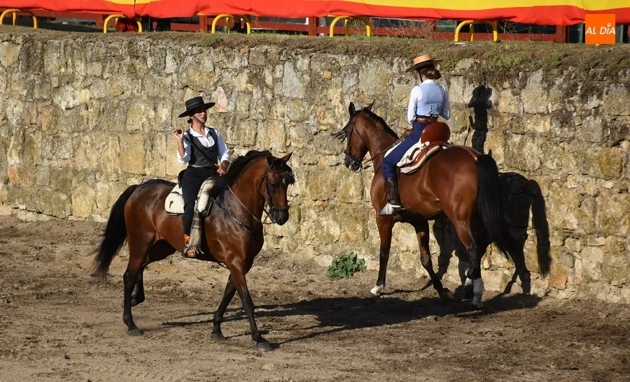 Foto 4 - Akay Flamenco pone el broche a tres intensos d&iacute;as de Feria