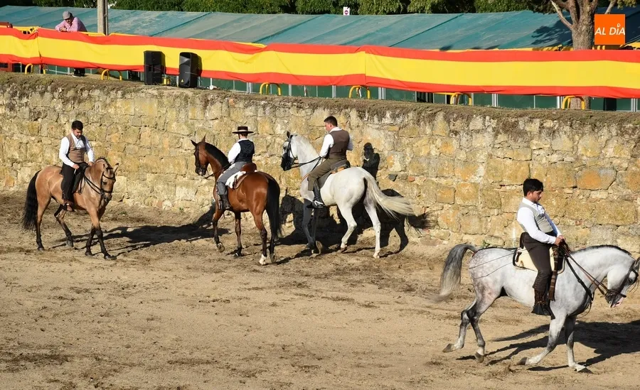 Foto 6 - Akay Flamenco pone el broche a tres intensos d&iacute;as de Feria