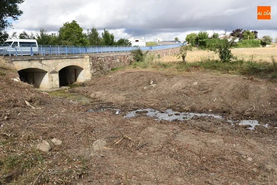 Foto 8 - La Confederaci&oacute;n adecenta tambi&eacute;n el Regato San Giraldo