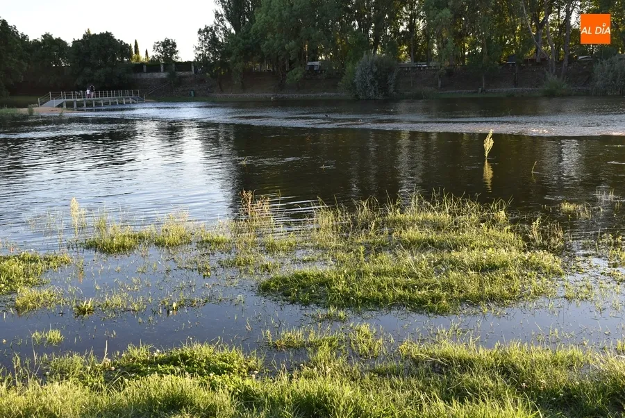 Foto 7 - El verano toca a su fin con el mayor caudal del &Aacute;gueda en m&aacute;s de a&ntilde;o y medio