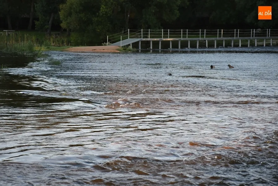 Foto 10 - El verano toca a su fin con el mayor caudal del &Aacute;gueda en m&aacute;s de a&ntilde;o y medio