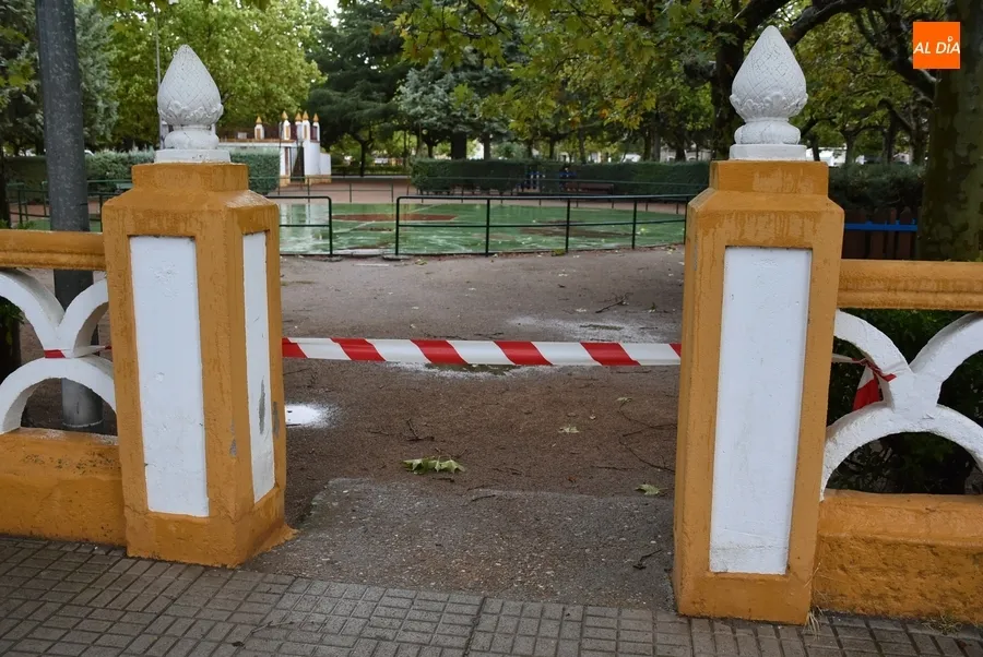 Foto 7 - Danielle obliga a cerrar los parques tras hacer ceder ramas de todos los tama&ntilde;os