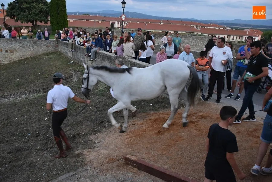 Foto 6 - Inaugurada la Feria del Caballo 2022, que se consolida en el centro de la ciudad