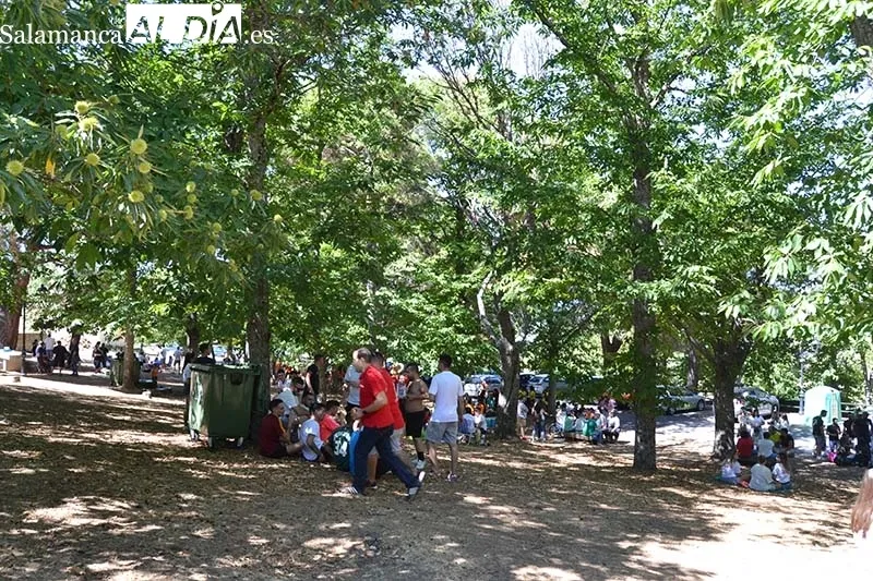 Foto 2 - Las pe&ntilde;as de B&eacute;jar protagonizan el pen&uacute;ltimo d&iacute;a de fiestas