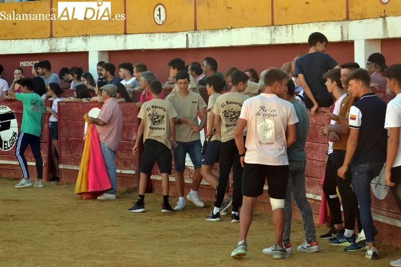 Foto 3 - Carreras, carcajadas y quiebros para una ambientada tarde de vaquillas en Macotera