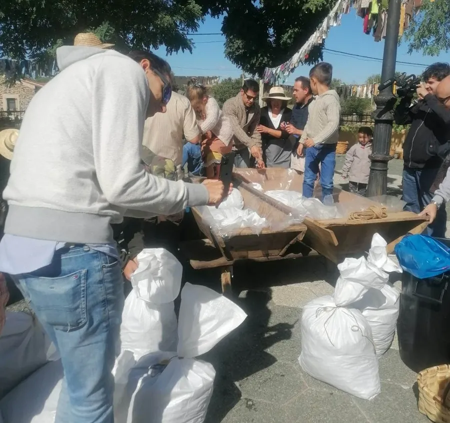 Foto 11 - Saelices estrena con &eacute;xito su Fiesta de la Vendimia