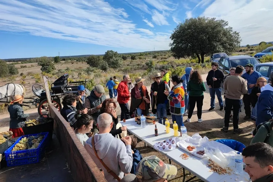 Foto 5 - Saelices estrena con &eacute;xito su Fiesta de la Vendimia
