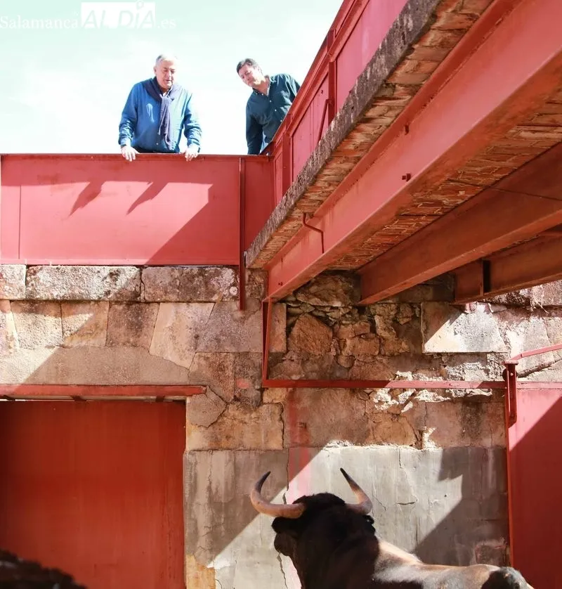 Sorteo y apartado de toros de este sábado. Fotos: Miguel Hernández