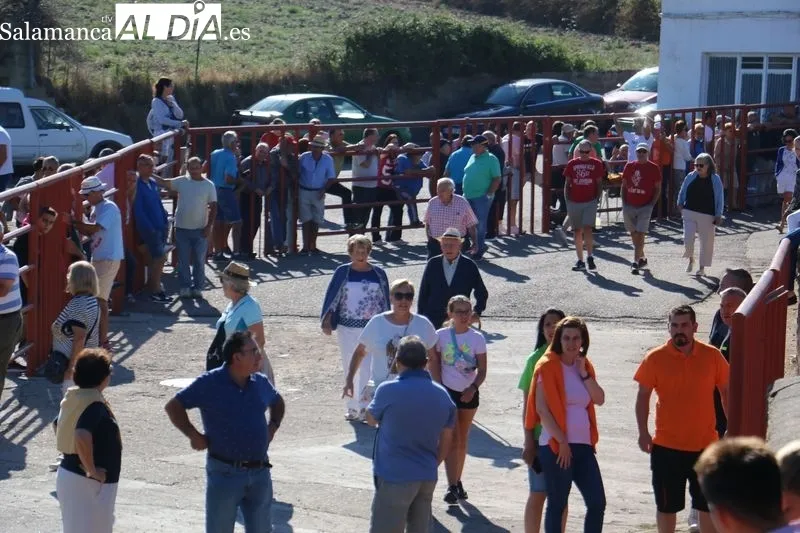 Encierro de Valrubio en Pereña de la Ribera / CORRAL 