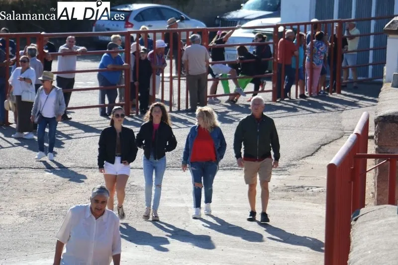 Segundo encierro de las fiestas de Pereña con novillos de Valdeflores / CORRAL