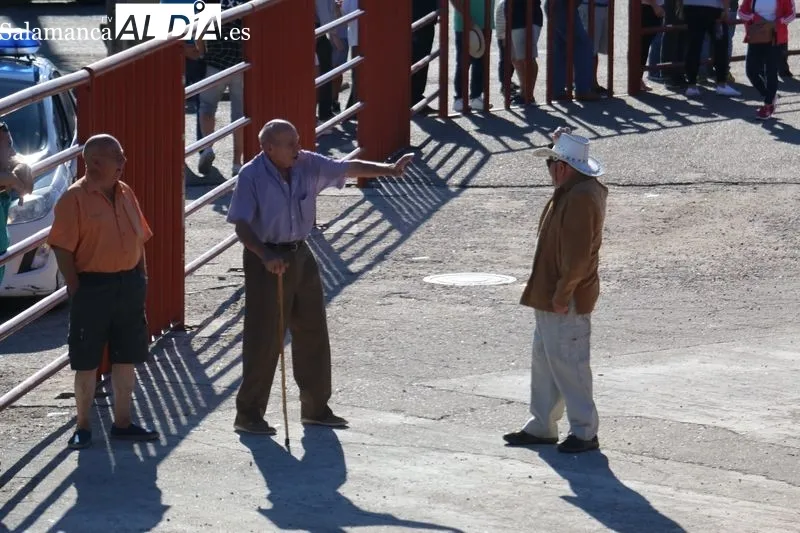 Segundo encierro de las fiestas de Pereña con novillos de Valdeflores / CORRAL