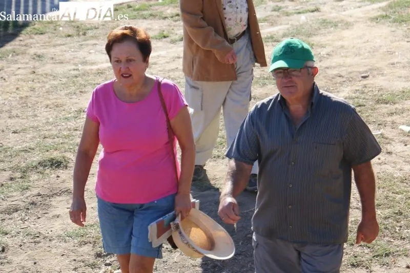 Segundo encierro de las fiestas de Pereña con novillos de Valdeflores / CORRAL