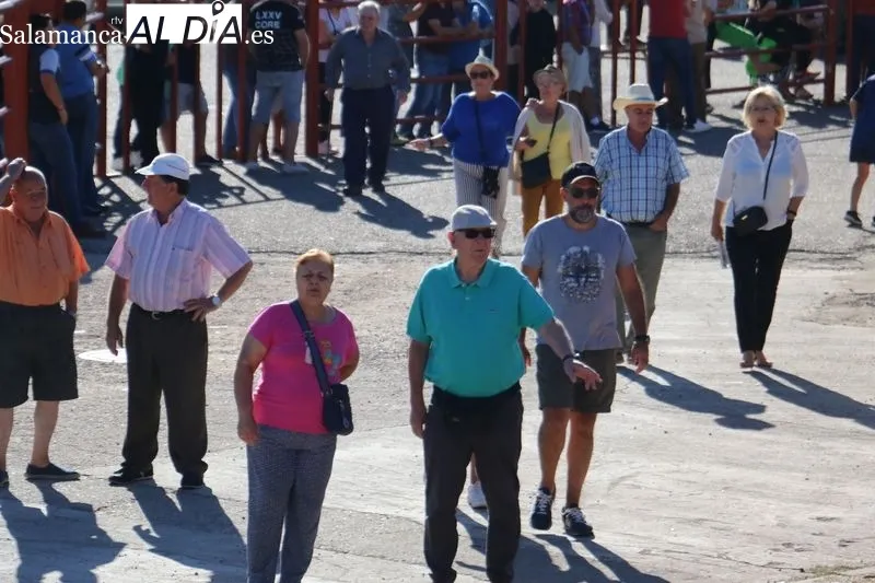 Segundo encierro de las fiestas de Pereña con novillos de Valdeflores / CORRAL