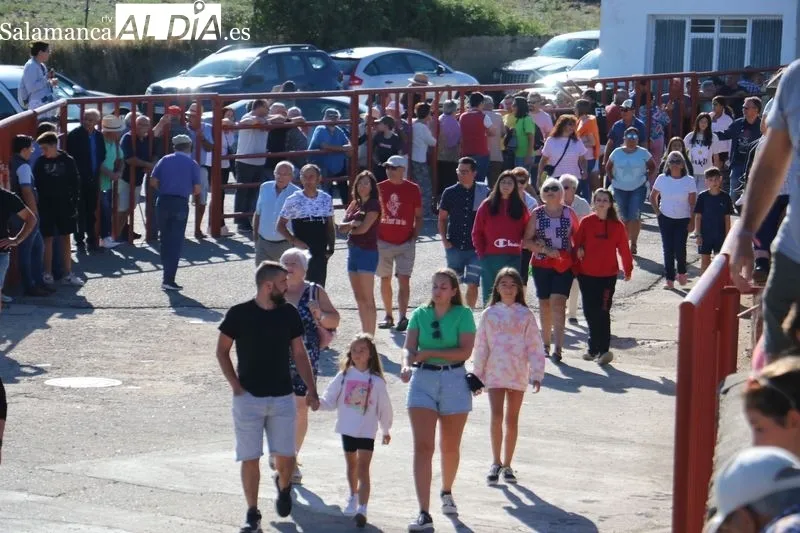 Segundo encierro de las fiestas de Pereña con novillos de Valdeflores / CORRAL