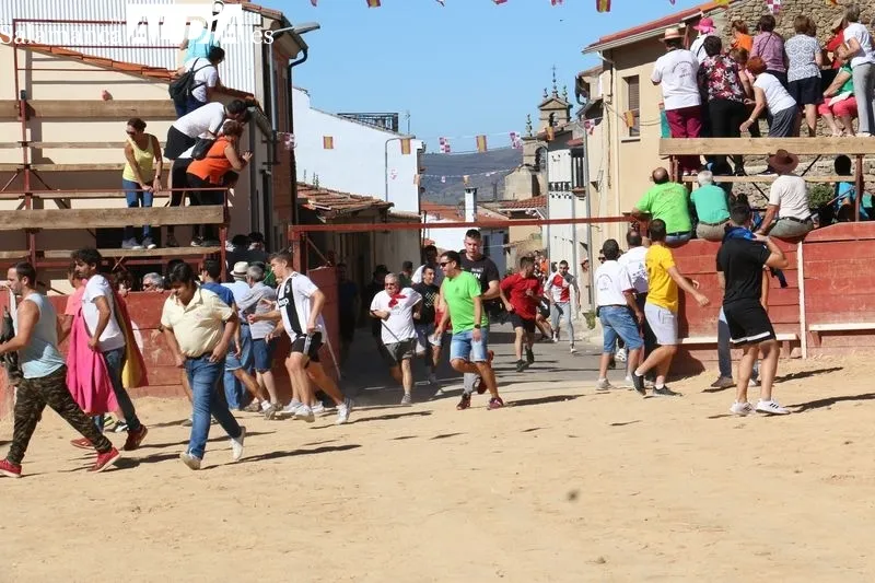 Foto 7 - Divertido encierro en Mieza para enfilar el final de las fiestas