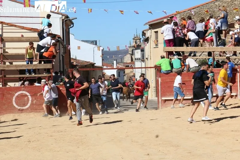 Foto 8 - Divertido encierro en Mieza para enfilar el final de las fiestas