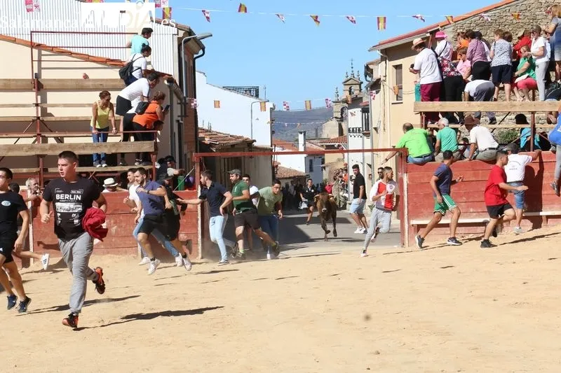 Foto 9 - Divertido encierro en Mieza para enfilar el final de las fiestas