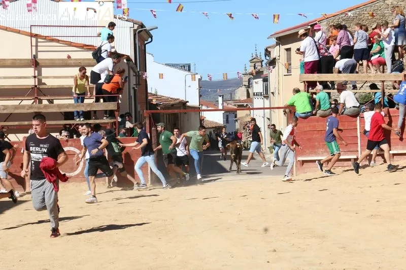 Foto 10 - Divertido encierro en Mieza para enfilar el final de las fiestas