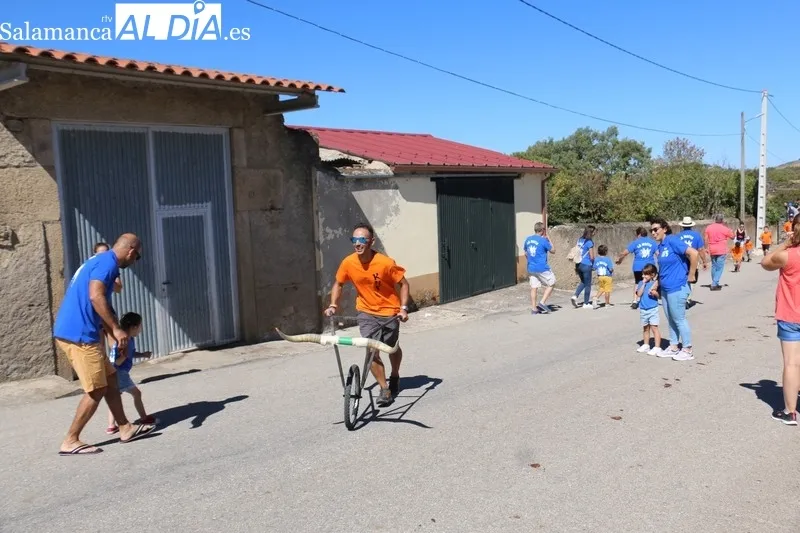 Primer encierro de las fiestas de Barruecopardo con cuatro novillos de Valrubio y Valdeflores / CORRAL