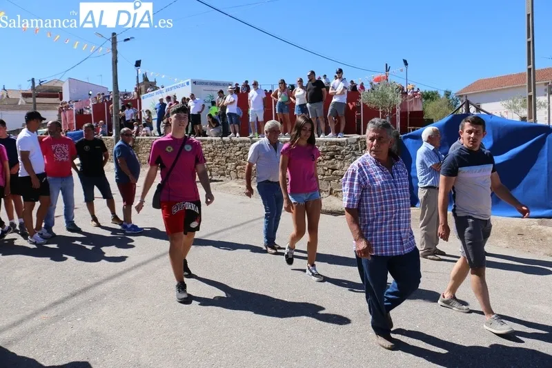 Primer encierro de las fiestas de Barruecopardo con cuatro novillos de Valrubio y Valdeflores / CORRAL