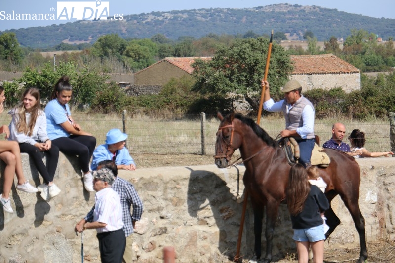 Encierro a caballo en Bañobárez con novillos de Eduardo Martín Cilleros / CORRAL