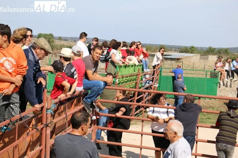 Encierro a caballo en Bañobárez con novillos de Eduardo Martín Cilleros / CORRAL