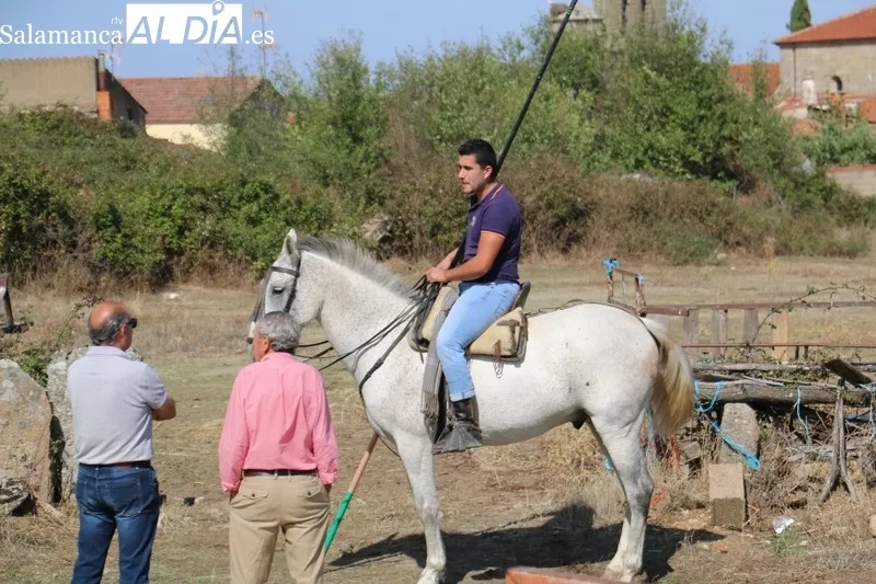 Encierro a caballo en Bañobárez con novillos de Eduardo Martín Cilleros / CORRAL