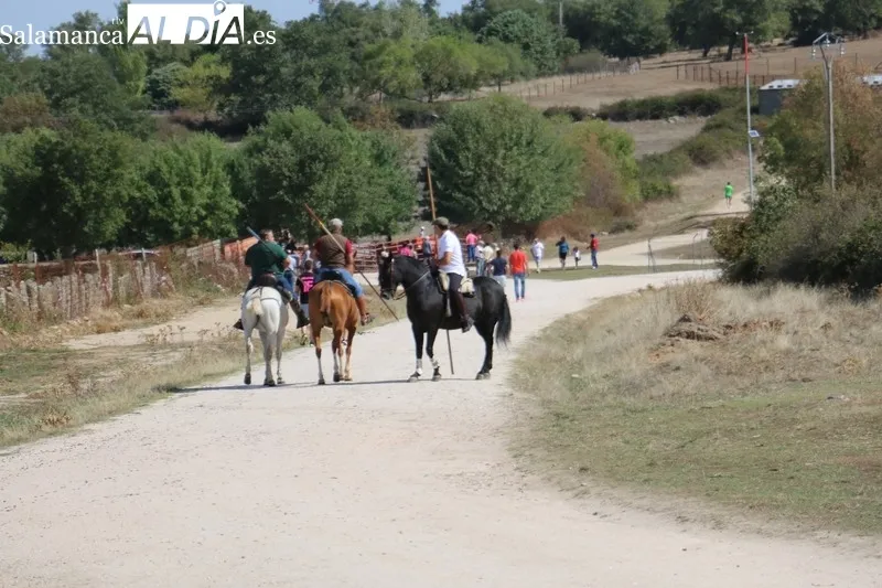 Encierro a caballo en Bañobárez con novillos de Eduardo Martín Cilleros / CORRAL